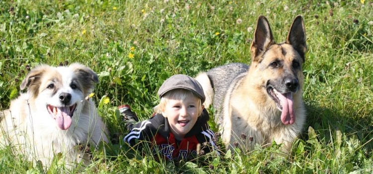 Children and Dogs